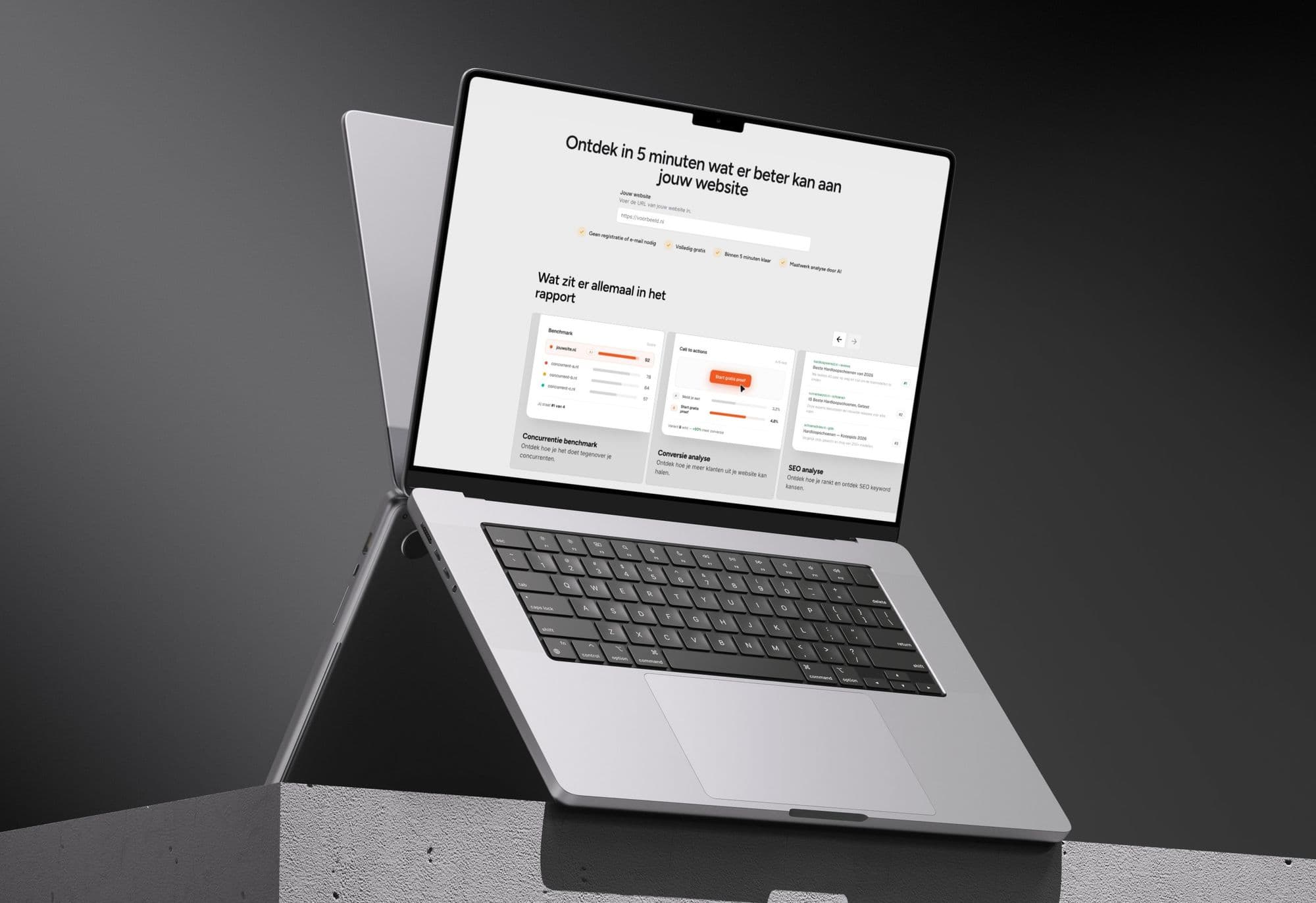 Website Audit